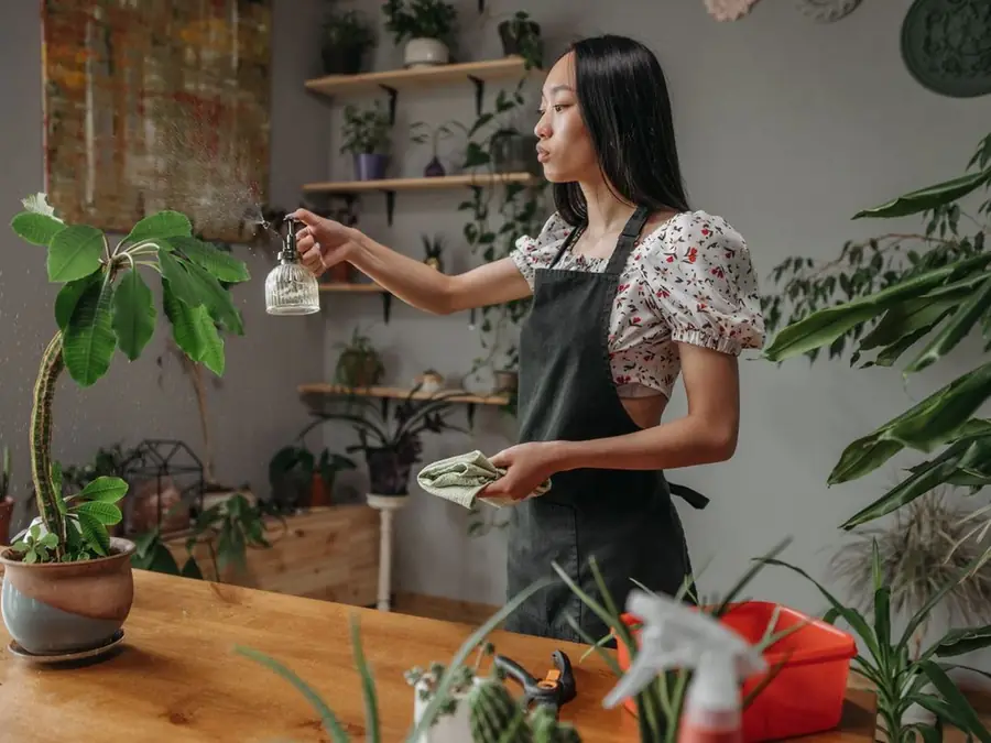 An older woman smiling as she mists a windowsill full of thriving houseplants