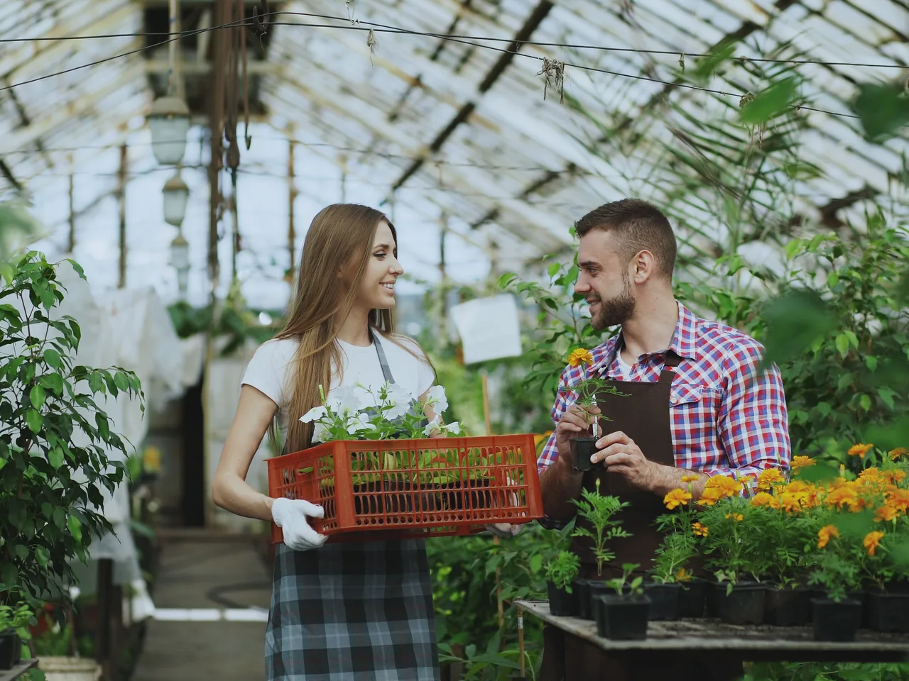 Two smiling coworkers tending plants together during a hands-on activity
